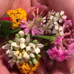 Meet your Posher, Hielmar